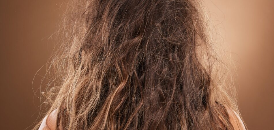 Back,,hair,and,frizzy,with,a,woman,in,studio,on